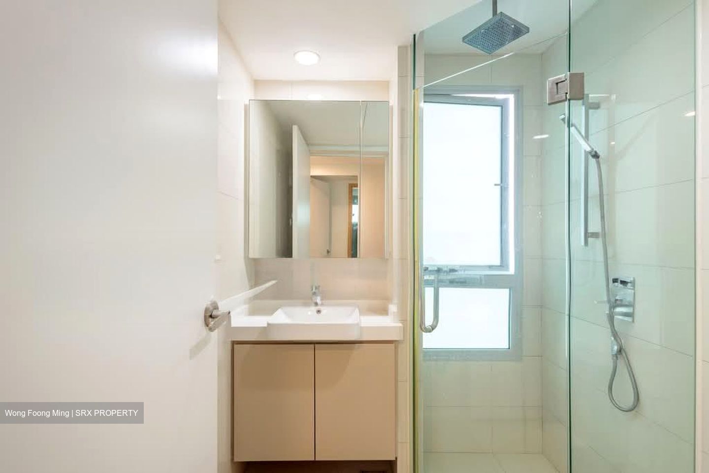 Eight Riversuites (D12), Condominium #600609391